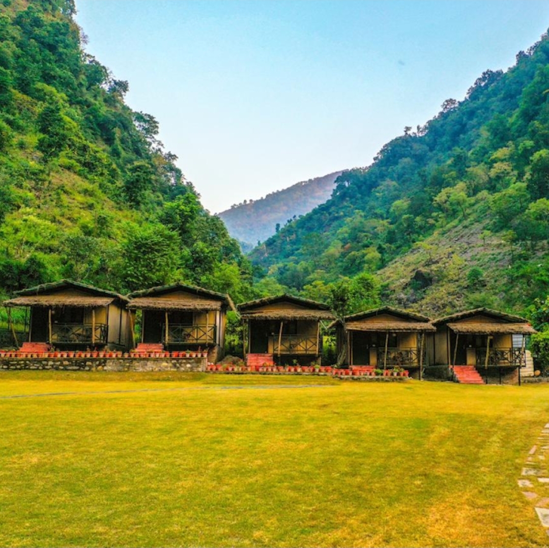 Jungle Gadera
