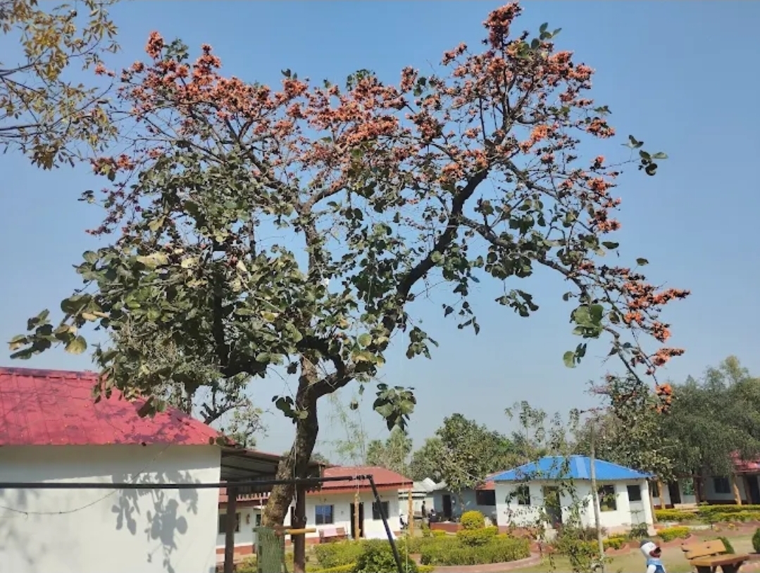 KUKUBURU HILL RESORT