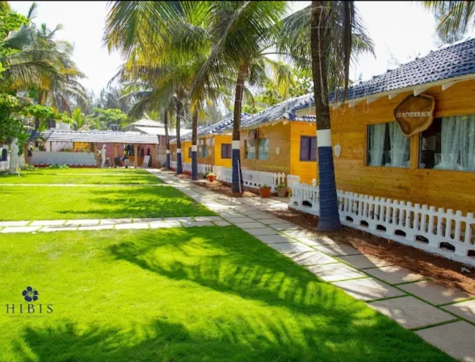 Hibis Morjim, Goa