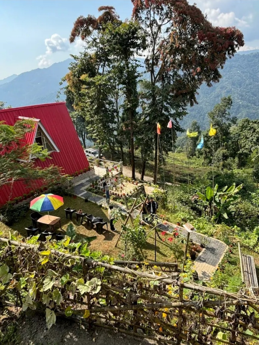 Tea Tribe Stay