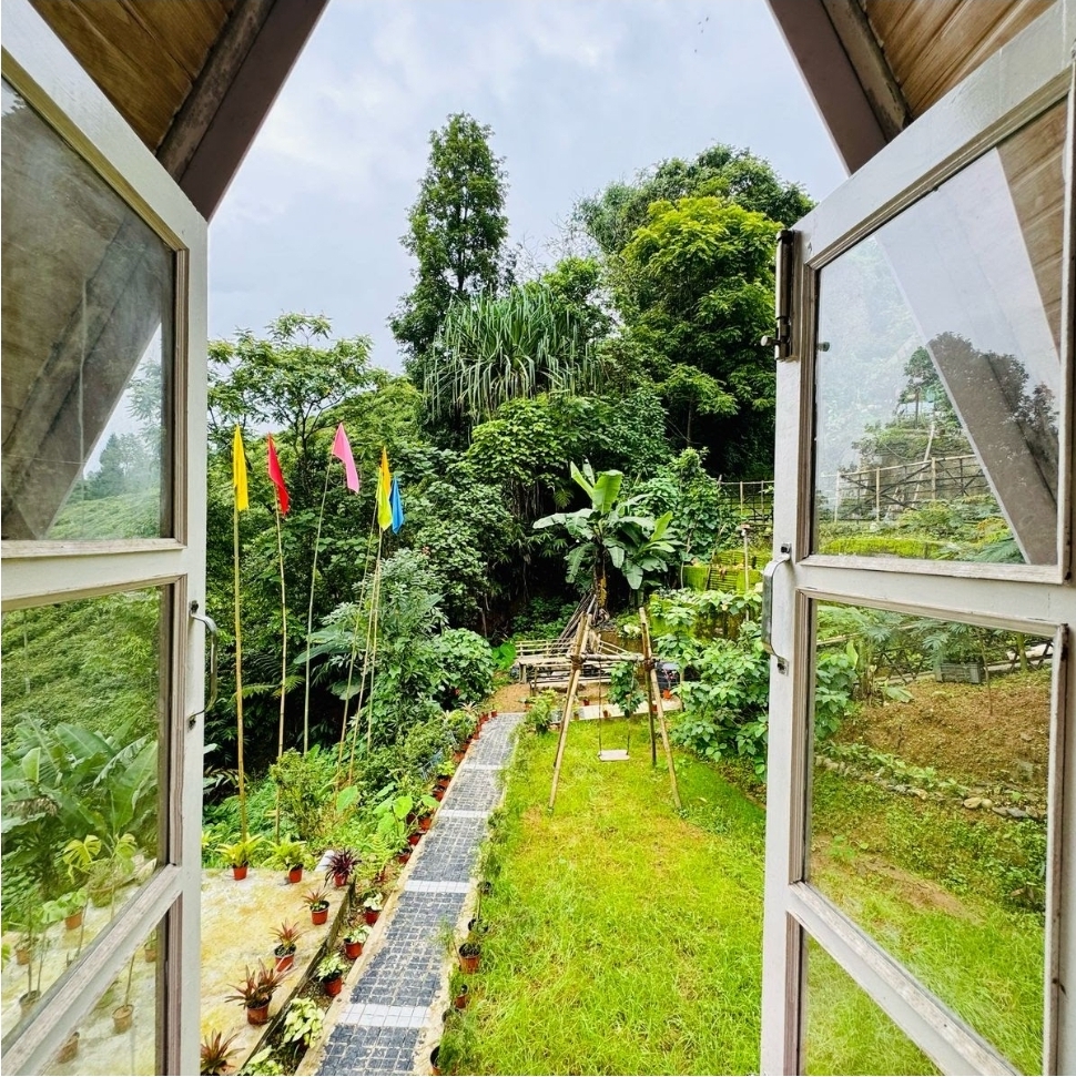 Tea Tribe Stay