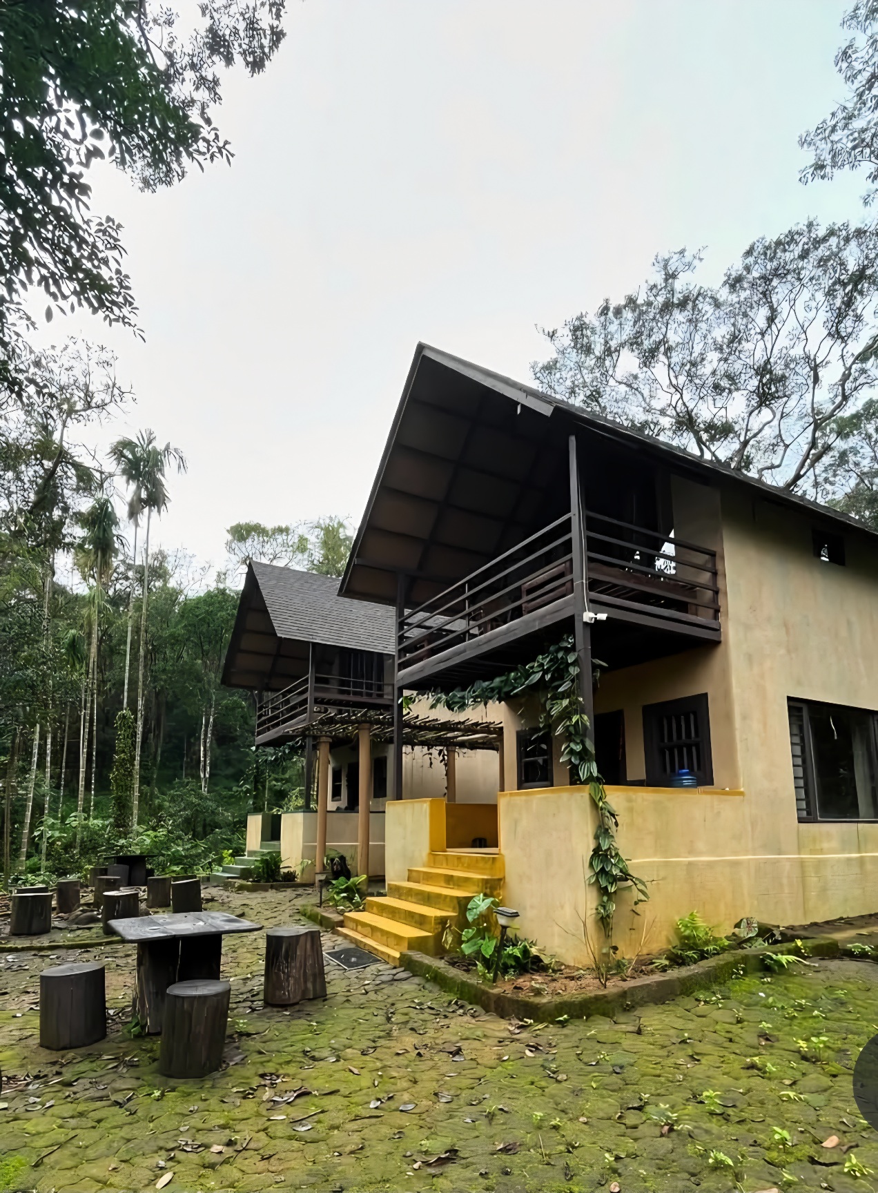 KaatiKaadu