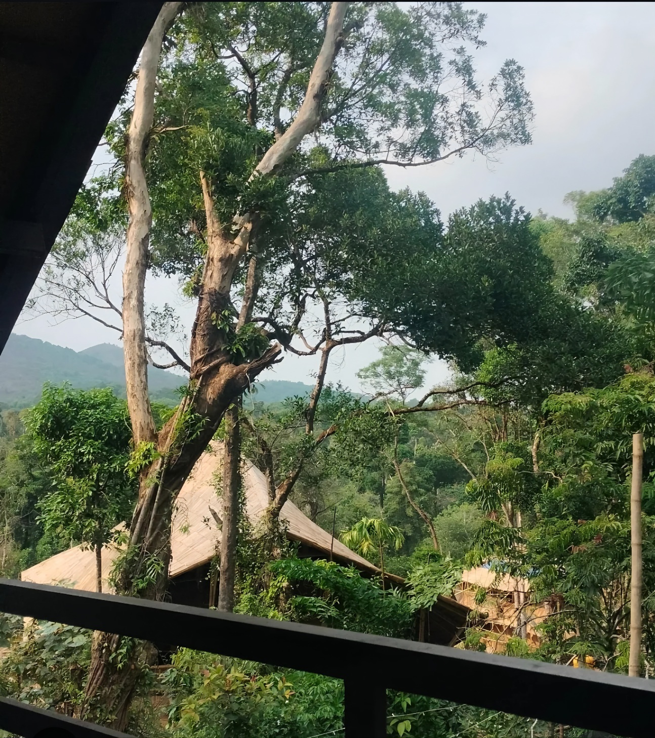 KaatiKaadu