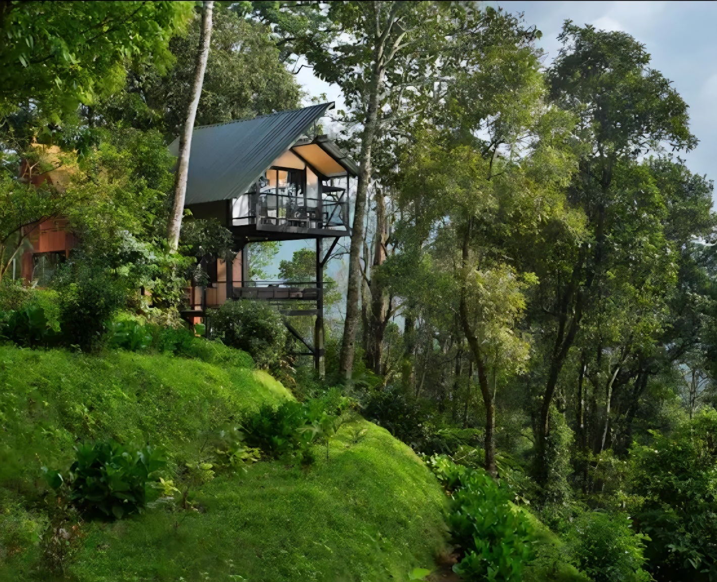 Bamboo Dale Plantation Nature Resort, Munnar