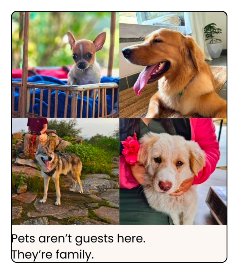 Girisadan FarmStay