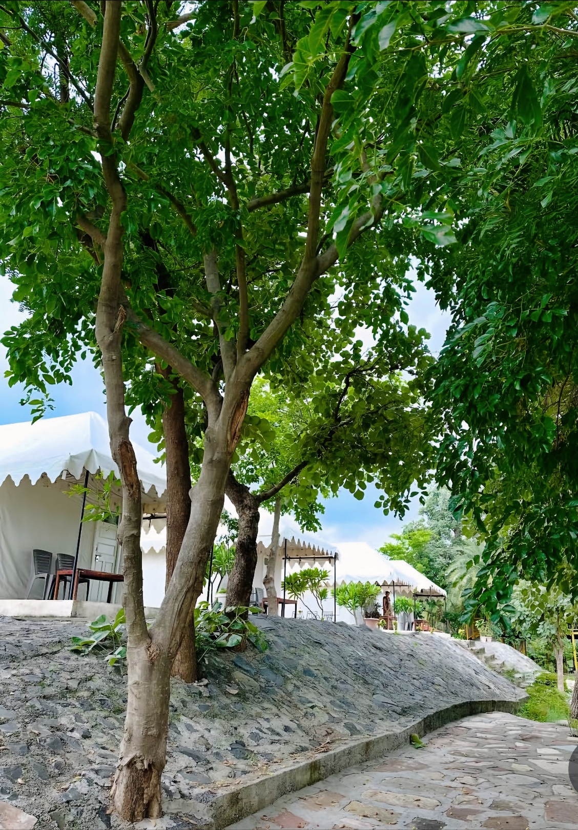 Roots The Jungle Cafe and Farm stay